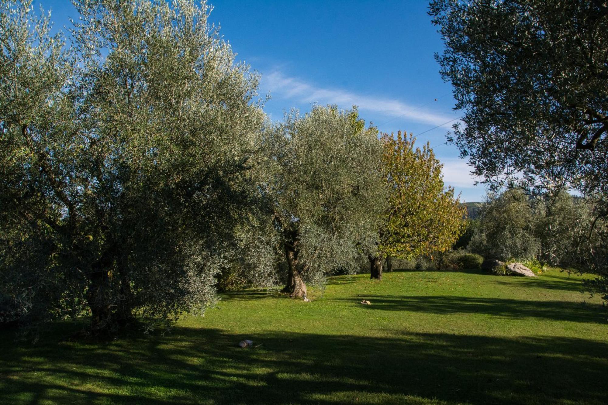 Villa La Sassaia Carmignano Exterior foto